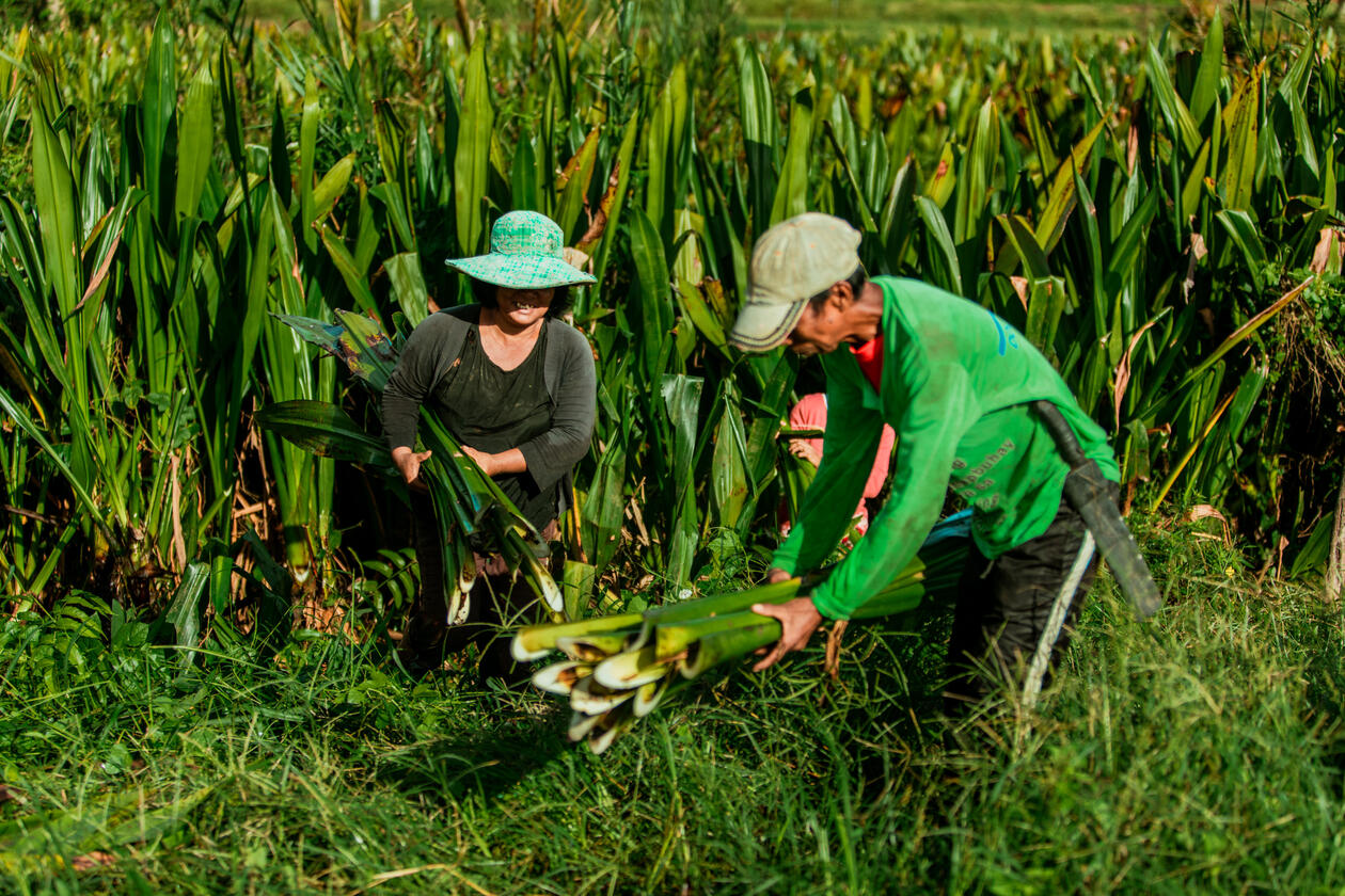 Bakong at Sta. Teresita